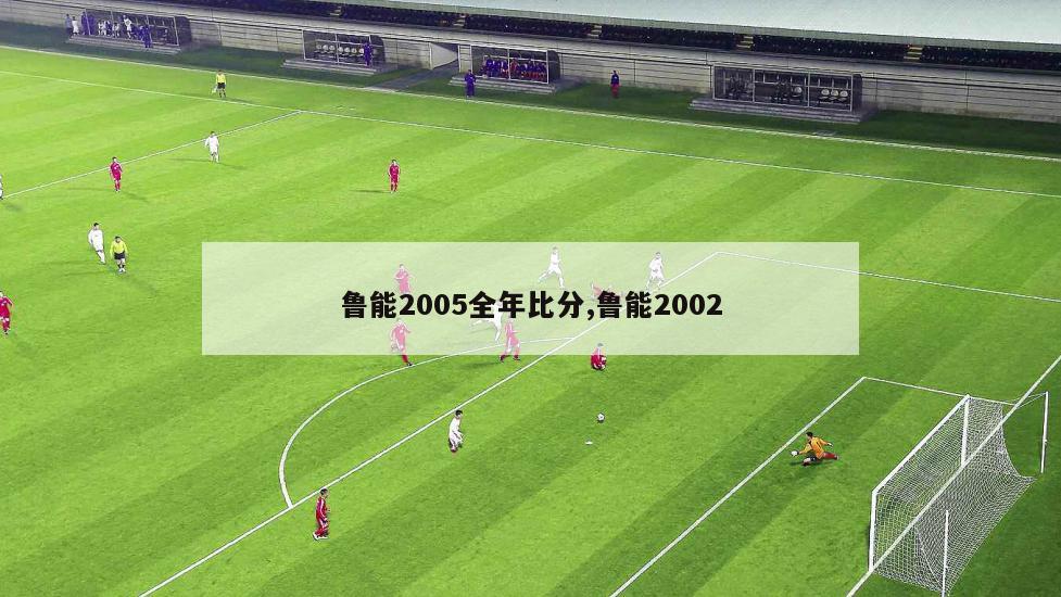 鲁能2005全年比分,鲁能2002